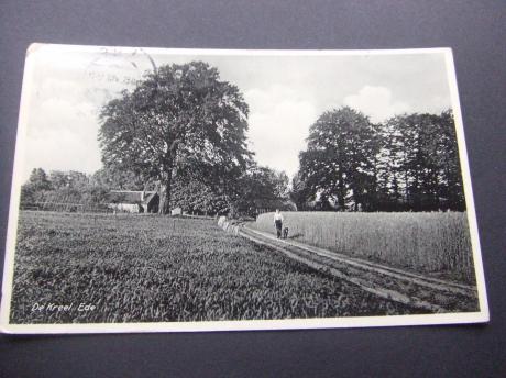 Ede De Kreel landweg door het boerenland